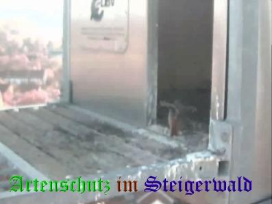 Copyright AiS / Wörner Bild zum Eintrag (27445-160)