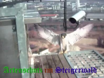 Copyright AiS / Wörner Bild zum Eintrag (27446-160)