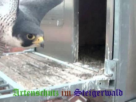 Copyright AiS / Wörner Bild zum Eintrag (27447-160)