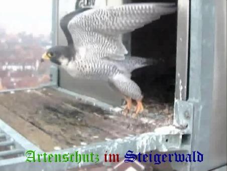 Copyright AiS / Wörner Bild zum Eintrag (27449-160)