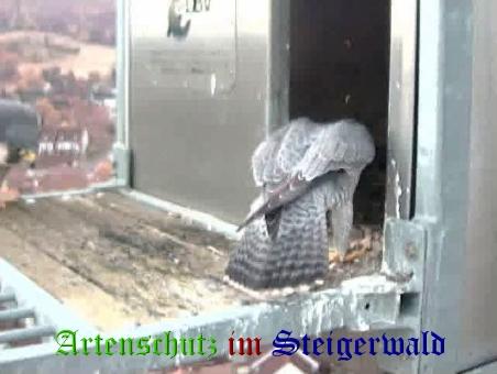 Copyright AiS / Wörner Bild zum Eintrag (27457-160)