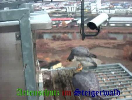 Copyright AiS / Wörner Bild zum Eintrag (27458-160)