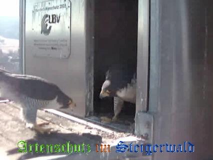 Copyright AiS / Wörner Bild zum Eintrag (27593-160)