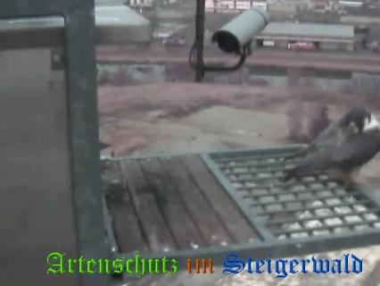 Copyright AiS / Wörner Bild zum Eintrag (27599-160)