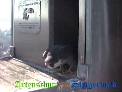 Copyright AiS / Wörner Bild zum Eintrag (27601-160)