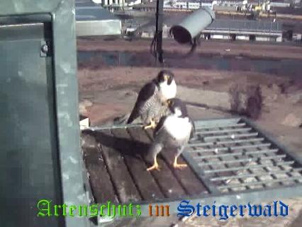 Copyright AiS / Wörner Bild zum Eintrag (27602-160)