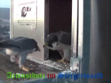 Copyright AiS / Wörner Bild zum Eintrag (27607-160)