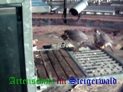Copyright AiS / Wörner Bild zum Eintrag (27613-160)