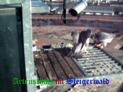Copyright AiS / Wörner Bild zum Eintrag (27615-160)
