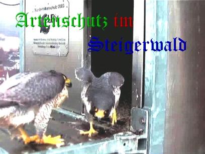 Copyright AiS / Wörner Bild zum Eintrag (27616-160)