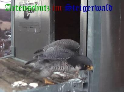 Copyright AiS / Wörner Bild zum Eintrag (27617-160)