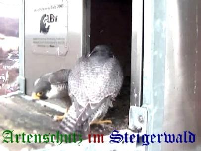 Copyright AiS / Wörner Bild zum Eintrag (27620-160)