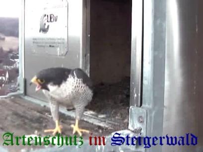 Copyright AiS / Wörner Bild zum Eintrag (27621-160)