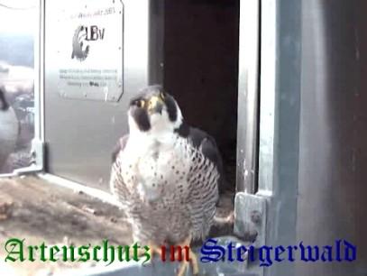 Copyright AiS / Wörner Bild zum Eintrag (27623-160)