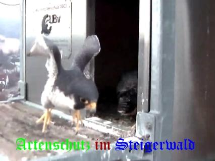 Copyright AiS / Wörner Bild zum Eintrag (27626-160)