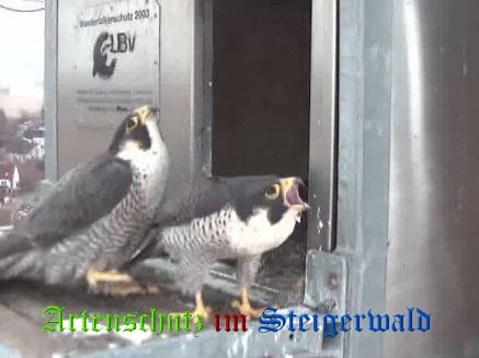 Copyright AiS / Wörner Bild zum Eintrag (27632-160)