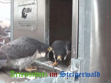 Copyright AiS / Wörner Bild zum Eintrag (27634-160)