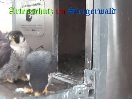 Copyright AiS / Wörner Bild zum Eintrag (27635-160)