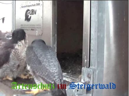 Copyright AiS / Wörner Bild zum Eintrag (27636-160)