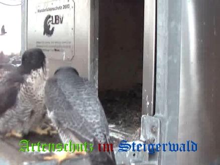 Copyright AiS / Wörner Bild zum Eintrag (27637-160)