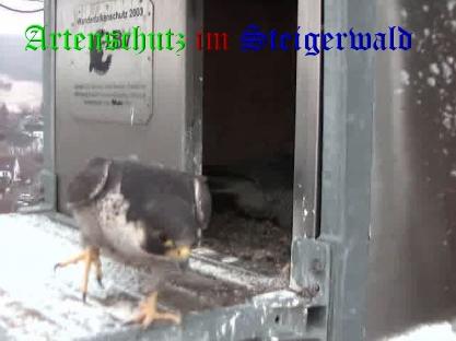 Copyright AiS / Wörner Bild zum Eintrag (27640-160)