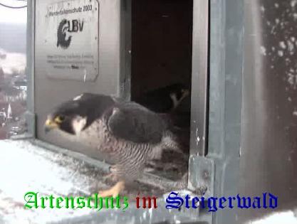 Copyright AiS / Wörner Bild zum Eintrag (27641-160)