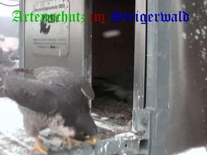 Copyright AiS / Wörner Bild zum Eintrag (27642-160)