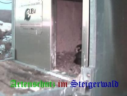Copyright AiS / Wörner Bild zum Eintrag (27643-160)