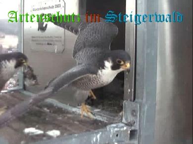 Copyright AiS / Wörner Bild zum Eintrag (27648-160)