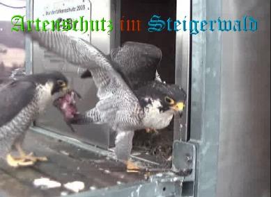 Copyright AiS / Wörner Bild zum Eintrag (27649-160)