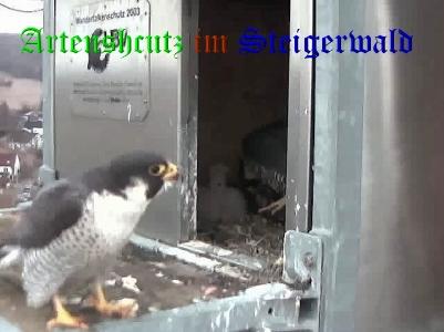 Copyright AiS / Wörner Bild zum Eintrag (27652-160)