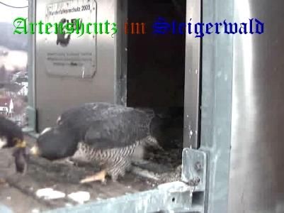 Copyright AiS / Wörner Bild zum Eintrag (27654-160)