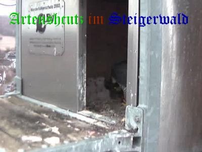 Copyright AiS / Wörner Bild zum Eintrag (27655-160)
