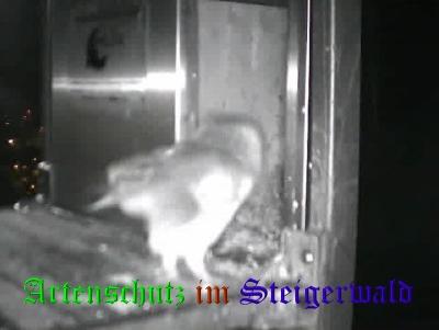 Copyright AiS / Wörner Bild zum Eintrag (27656-160)