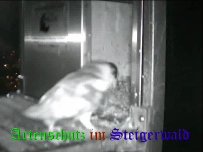 Copyright AiS / Wörner Bild zum Eintrag (27657-160)