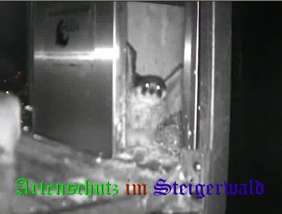 Copyright AiS / Wörner Bild zum Eintrag (27658-160)