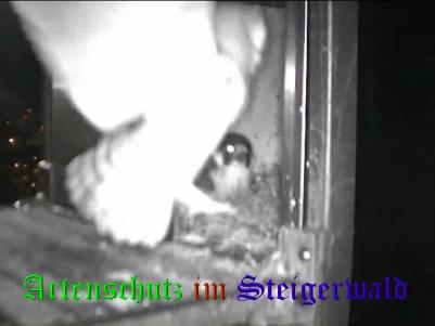 Copyright AiS / Wörner Bild zum Eintrag (27659-160)