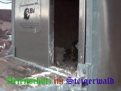 Copyright AiS / Wörner Bild zum Eintrag (27660-160)
