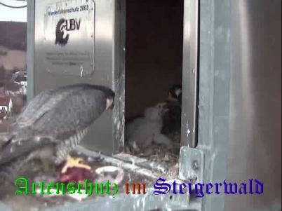 Copyright AiS / Wörner Bild zum Eintrag (27661-160)