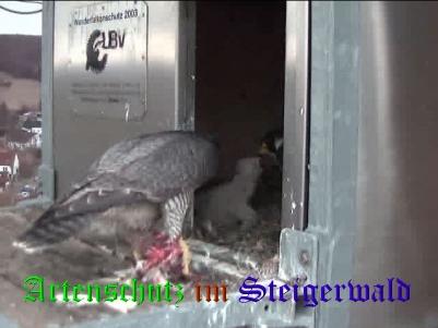 Copyright AiS / Wörner Bild zum Eintrag (27662-160)
