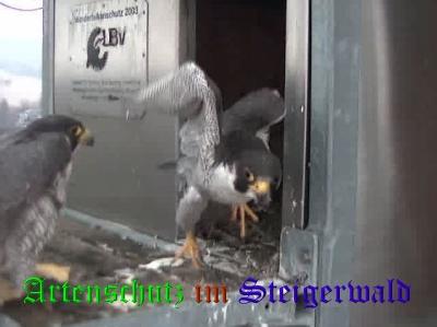 Copyright AiS / Wörner Bild zum Eintrag (27663-160)