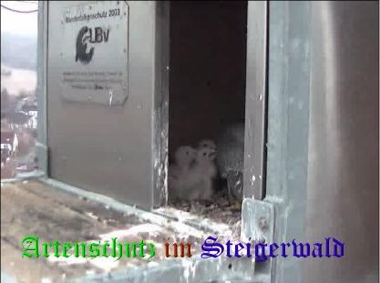 Copyright AiS / Wörner Bild zum Eintrag (27664-160)