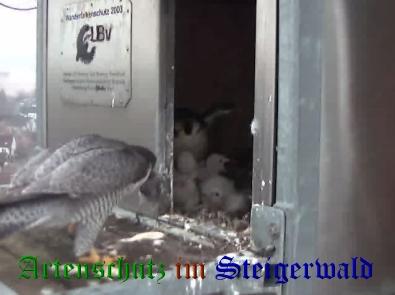 Copyright AiS / Wörner Bild zum Eintrag (27673-160)