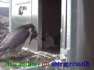 Copyright AiS / Wörner Bild zum Eintrag (27674-160)