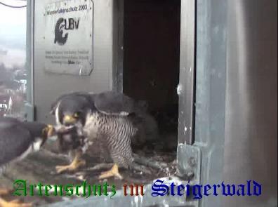 Copyright AiS / Wörner Bild zum Eintrag (27675-160)