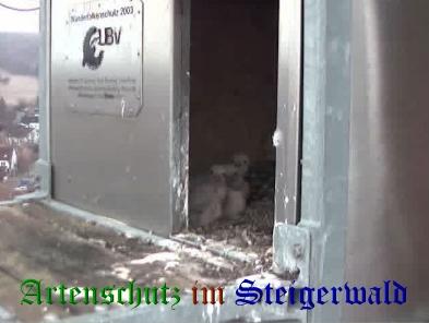 Copyright AiS / Wörner Bild zum Eintrag (27676-160)