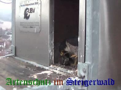 Copyright AiS / Wörner Bild zum Eintrag (27677-160)
