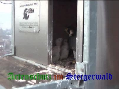 Copyright AiS / Wörner Bild zum Eintrag (27680-160)