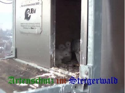 Copyright AiS / Wörner Bild zum Eintrag (27681-160)