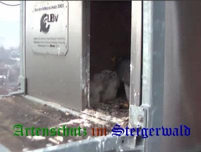Copyright AiS / Wörner Bild zum Eintrag (27682-160)